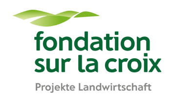 fondation sur la croix